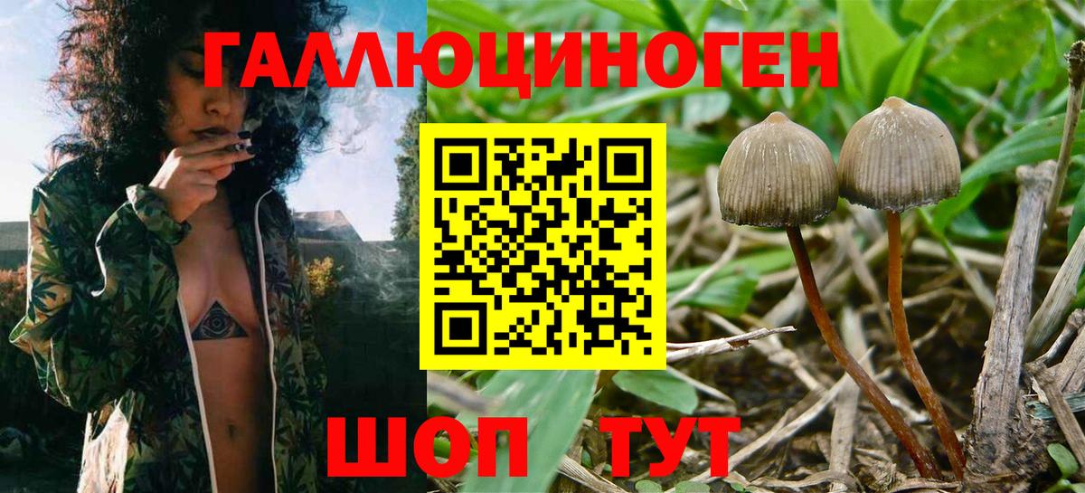 Родники  даркнет сайт  Вход с VPN  Галлюциногенные грибы мухоморы 