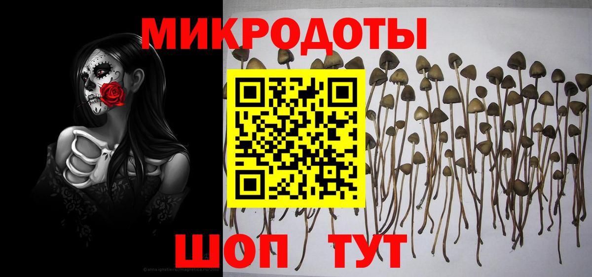 Псилоцибиновые грибы мицелий Родники